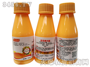 �|̦�؃���-ِ�ؠ��r��-����ɭ