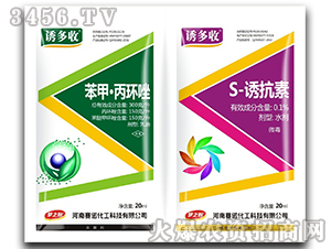 ���ס����h��+S-�T����-�T����-ِ�Z����