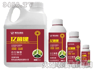 �r��΢�������-�|�������~�ˌ��ã�-�F�컯