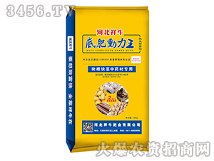 �K���K�o��ˎ�Č��÷�-�׷ʄ�(d��ng)����-��ţ�ʘI(y��)