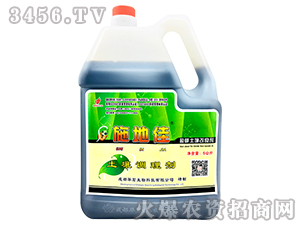 �����{�턩-ʩ�ؼ�-�A�����B