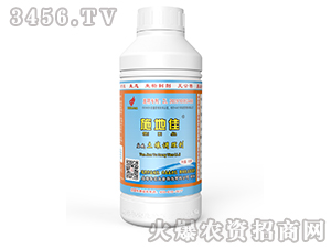 1000g�}�A�����{�턩-ʩ�ؼ�-�A�����B