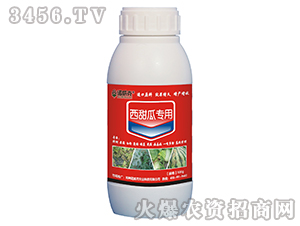 ����ό���-�Z����