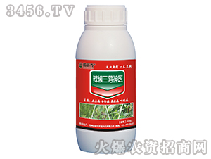 �����������t-�Z����