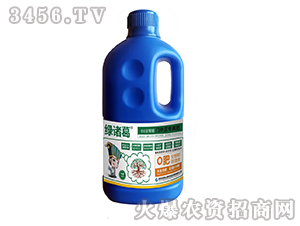 O��-�G�T��-�֮��