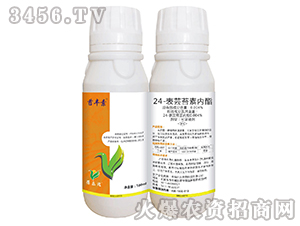 24���|̦�؃�����500ml��-̦�S��-��ֲ���A