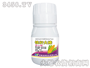 ���׿�����-�F�U���-���䌍�I