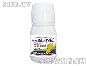 ���׿�����-���ֶ�-���䌍�I