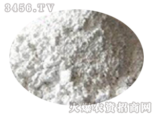 ���������|ĵϠ��-��������