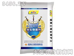 �G̦�������-����Ԫ-��������