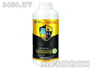 1000ml���ߡ��L֦ľù-�����I��-�P��˹