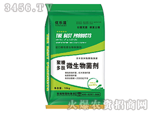 ���Ƕ���΢�������-������-�P��˹