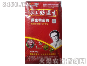 ���Ϻ��t��-΢�������-����