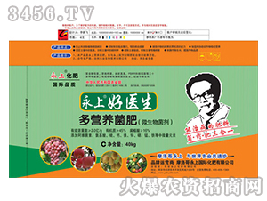 ���Ϻ��t��-��I�B����-����