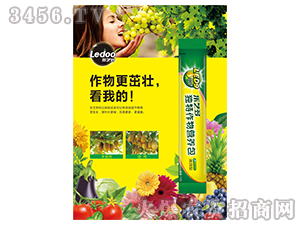 ��������I�B��-��ˇ��