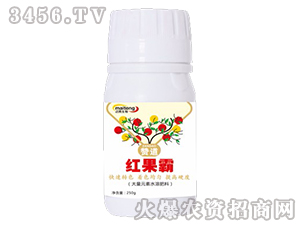 �O����ɫ��-�t����-�~�v����