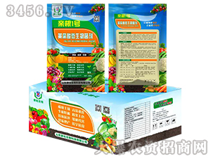 �S����΢����������䣩-�¸�1̖-�Ļ�����