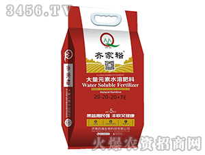 ����Ԫ��ˮ�ܷ���20-20-20+TE-�R��ԣ-������