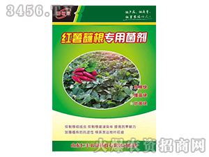 �t��պ�����þ���-���S�r�I