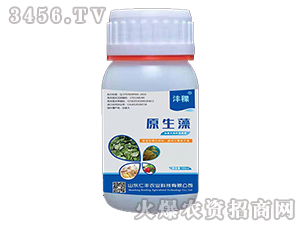 ԭ����-����-���S�r�I