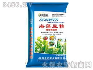 ���嶹��΢�������-�����R-�����ʘI