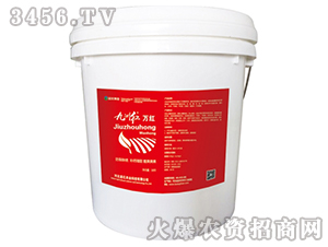 ���޼t�f�t-�{������