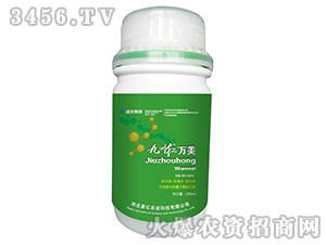 ���޼t���f����-�{������