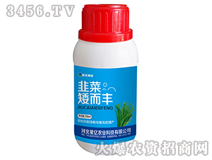 韭菜-矮而豐-藍禾生物