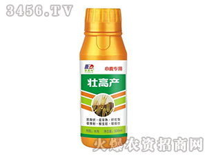 �Ѹ߮a-С������-���~����