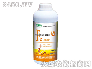 �W�x���F-�r�r���H