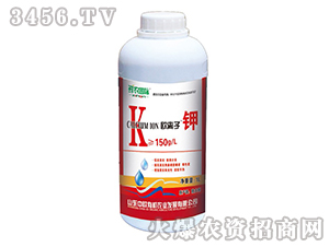 �W�x���-�r�r���H