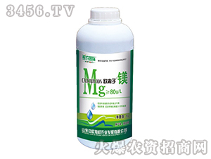 �W�x���V-�r�r���H