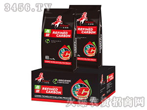 ��̼-ʥ��{-�r�dԴ