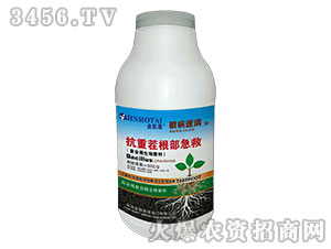 ���ز��������-��������-��Ĭ̩