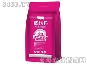 ΢�������-������-ʢ�ļ�