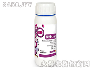 ����ֵ�-����-ʢ�ļ�