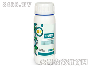 ʮ��Ԫ��-����-ʢ�ļ�