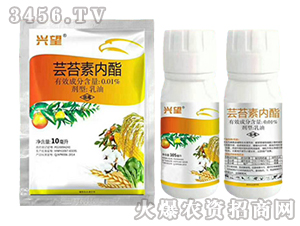 0.01%�|̦�؃�������-�d��-ʢ�ļ�