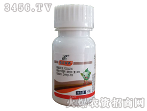 14%�x�������x���Ҹ���-���r����-�R�����r