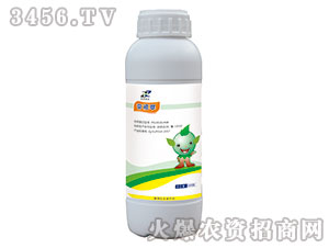 ֲ�����a�{����-������-�R�����r