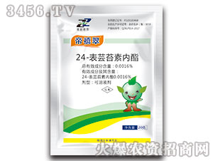 24-���|̦�؃�֬-������-�R�����r