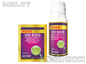 ϩ������˪��-�A��˪��-��Ʒ����