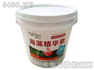 ���徫�A��-�{����-���u�{�� 