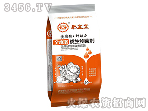 ȫˮ��΢����������ȴ���-�S���ᡤ⛄�(d��ng)��-�ʌ���