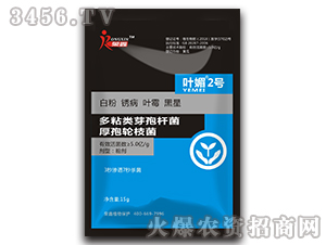 ��ճ�ѿ�ߗU��������݆֦��-�~��2̖-�s��