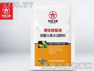 �S���ޏ��`-�ȿ�֮��