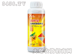 ֲ������oҺ-���o��-�R���S