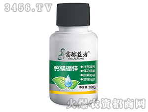 �}�V���\-�����淽-�Gʿ��