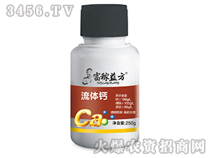 ���w�}-�����淽-�Gʿ��