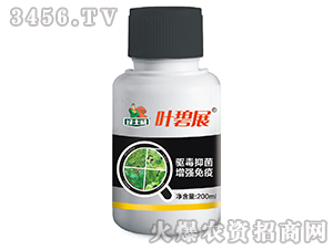 �~��չ-�Gʿ��